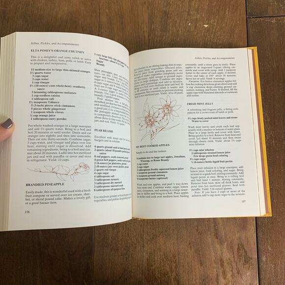 Vintage 1976 - THE SOUTHERN HOSPITALITY COOKBOOK Cookbook Winifred Green Cheney - Picture 10 of 10